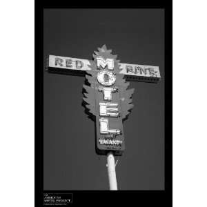  Red Pine B&W Poster   Small (24x18)