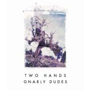  Two Hands Gnarly Dudes Shiraz 2010 Grocery & Gourmet Food