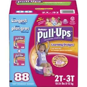  Huggies Pull Ups Learning Designs 2T 0 3T Training Pants 