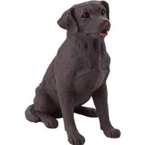  Labrador Retriever   Small Size 