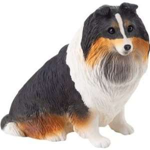  Shetland Sheepdog   Small Size 