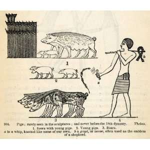 1854 Woodcut Ancient Egypt Livestock Pig Boar Shepherd Archaeology 