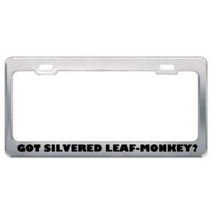  Got Silvered Leaf Monkey? Animals Pets Metal License Plate 