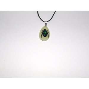  Glow in the dark Real Insect Necklace (YD0622) Everything 