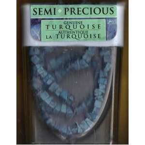  Semi Precious 16 Turquoise Chips Arts, Crafts & Sewing