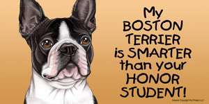 Boston Terrier Smarter Honor Student Car Magnet 8x4 dog  