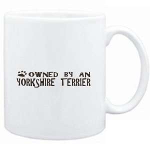  Mug White  OWNED BY Yorkshire Terrier  Dogs