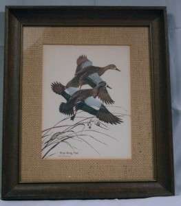 VINTAGE Wm ZIMMERMAN BLUE WING TEAL DUCK LITHOGRAPH MATTED AND FRAMED 