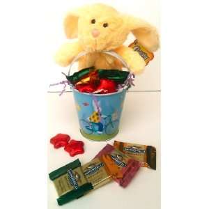 Blue Small Metal Easter Pail Wth Supersoft Stuffed Bunny Rabbit Animal 