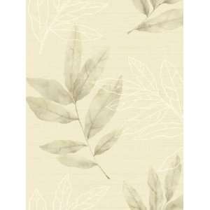  Wallpaper Wallquest Sage SG50808