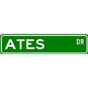  ATES Street Sign ~ Personalized Family Lastname Sign 