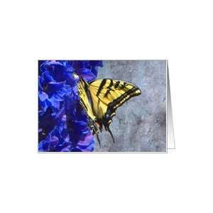Swallowtail Butterfly on Blue Floral Card