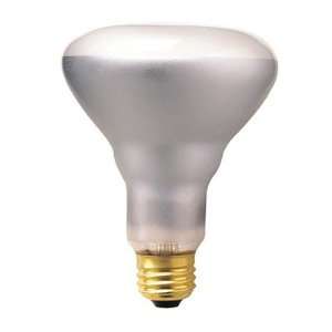 65W Incandescent BR30 Indoor Reflector Flood Light Bulb with E26 Base 