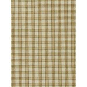  Amandas Way Brulee by Robert Allen Fabric