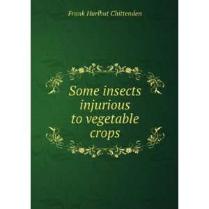  Some insects injurious to vegetable crops Frank Hurlbut 