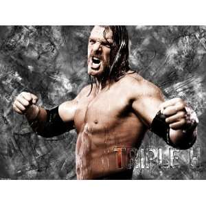  Triple H WWE 8x11.5 Picture Mini Poster