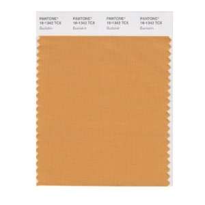  PANTONE SMART 16 1342X Color Swatch Card, Buckskin