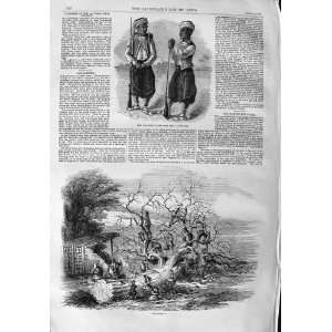  1859 UNIFORMS INDIA ARMY REGIMENTS OAK BARKING TREES