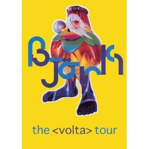  Bjork Volta Tour Concert Poster 2008 24X34 Poster