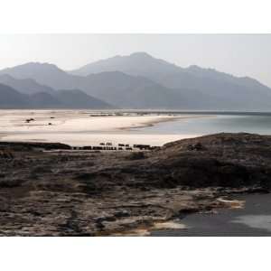  Lac Assal, the Lowest Point on the African Continent 