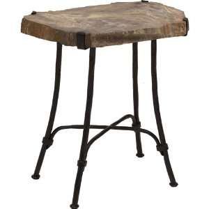  Petrified Wood Slab Side Table