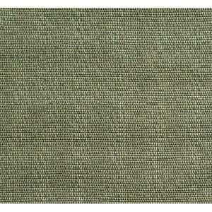  Bracken   Vapor Indoor Upholstery Fabric Arts, Crafts 