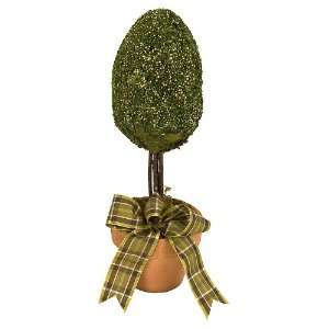  Arteflorum Mossed Oval Topiary Small W/Plaid RibbonMost7 