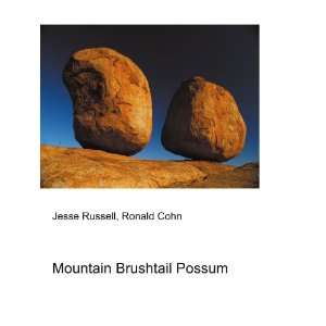    Mountain Brushtail Possum Ronald Cohn Jesse Russell Books