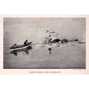  1942 Halftone Print Alaska Walrus Hunting Ice Boat Snow 