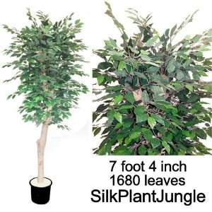  7 foot 4 inch Potted Silk Artificial Ficus tree plant with 