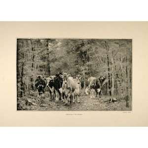  1893 Print Cows Drove Cattle Woods Trees Thomas Allen 