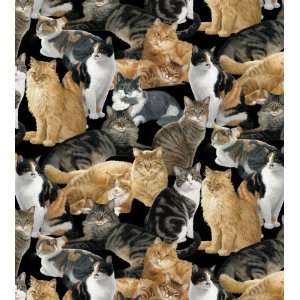    Cats Allover Anti Pill Fleece by Wild Wings Arts, Crafts & Sewing