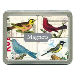  Cavallini & Co. Birds Magnet Set
