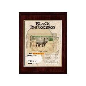  Africa (Black Rhinoceros) Animal Planet Products 10 x 13 