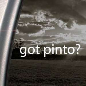  Got Pinto? Decal Horse Breed Pony Window Sticker 