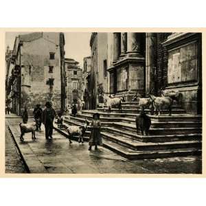  1927 Palermo Sicily Cathedral Steps Goats People Italy 