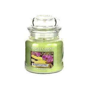 Yankee Candle Company Pineapple Cilantro Candle 14.5 oz (Quantity of 2 