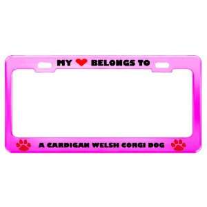  A Cardigan Welsh Corgi Dog Pet Pink Metal License Plate 