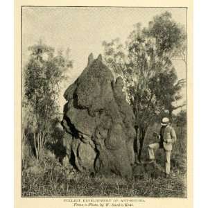 1898 Print Kimberley Australia Giant Columnar Ant Mound Saville Kent 