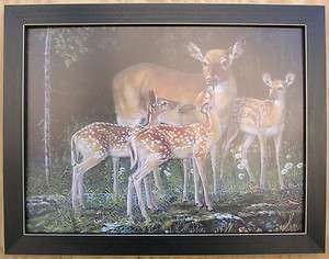 Deer Pictures Does Fawns Framed Country Deer Picture Print Interior 