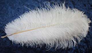 Grade A 16 18 White Ostrich Drab Plume Feathers Wedding Centerpiece 