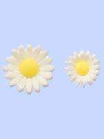 Easter White Daisies Royal Icing Decorations Cake Decorating Cupcakes 