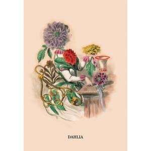  Vintage Art Dahlia   02279 5