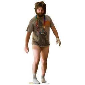  Alan Garner comedian from the movie Hangover Lifesize 