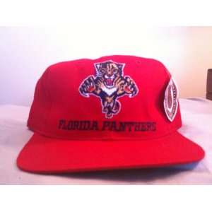  Florida Panthers Vintage Snapback Hat 