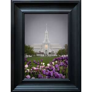  Mount Timpanogos Temple  Spring Tulips Automotive