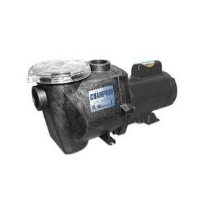  Waterway In Ground Champion Pool Pumps Patio, Lawn 