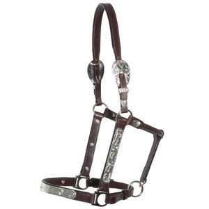  Raleigh Silver Show Halter w/Lead