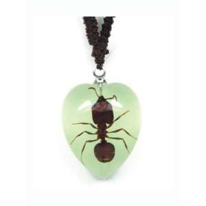 Real Insect Necklace Killer Ant (small/glow)