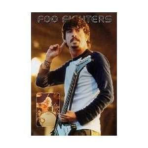Music   Alternative Rock Posters Foo Fighters   Dave Grohl Poster 